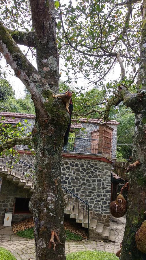 Wildernest Bed and Breakfast Thekkady Εξωτερικό φωτογραφία